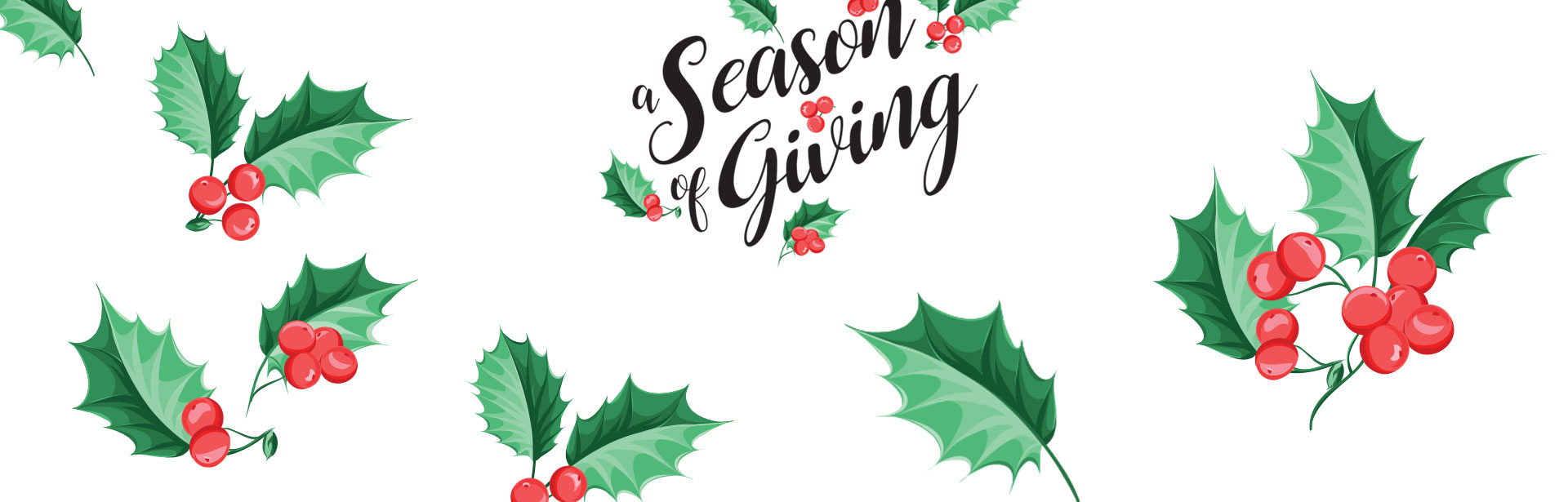 giving-season-our-lady-of-the-blessed-sacrament-parish